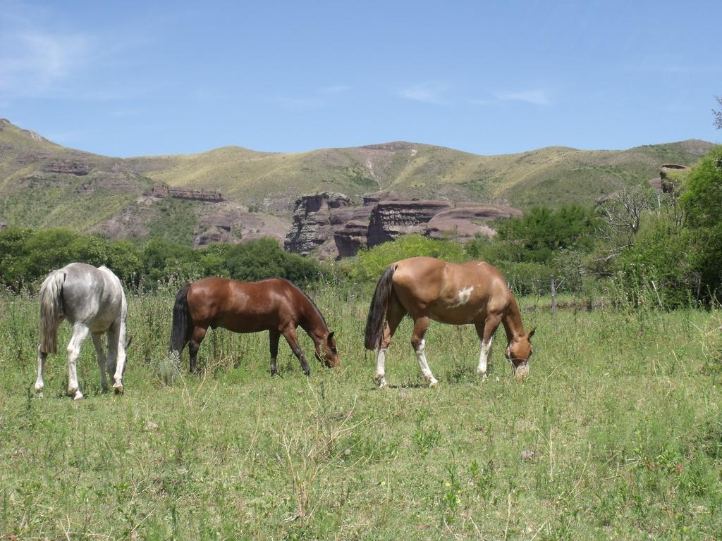 Ongamira Turismo Rural Cordoba Bagian luar foto