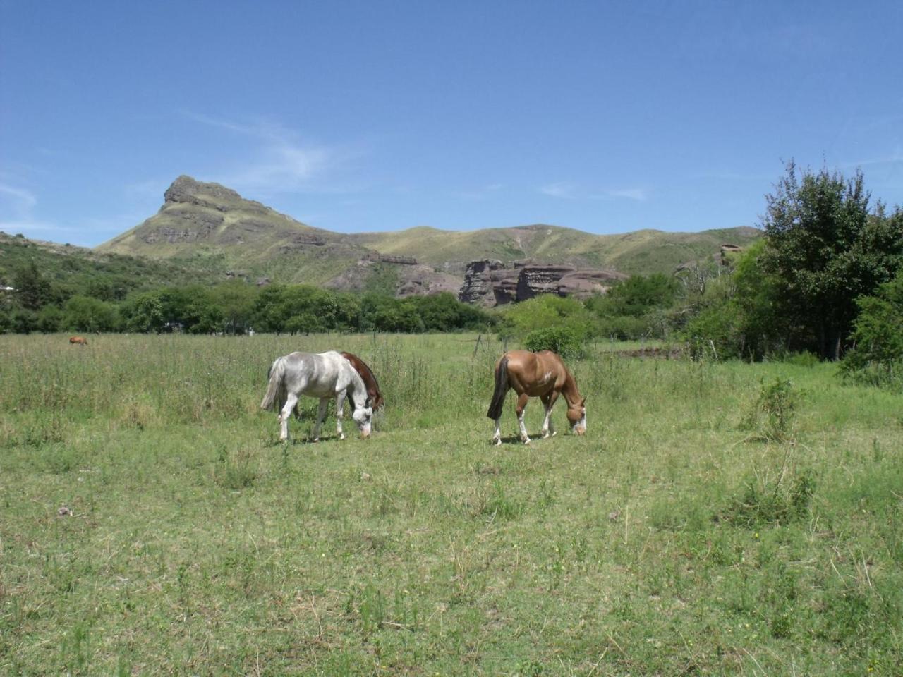 Ongamira Turismo Rural Cordoba Bagian luar foto